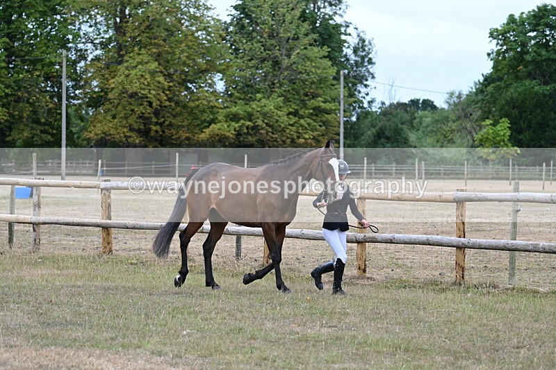 WJ7_8783 - Class 4a Prettiest Mare 14.2hh and over