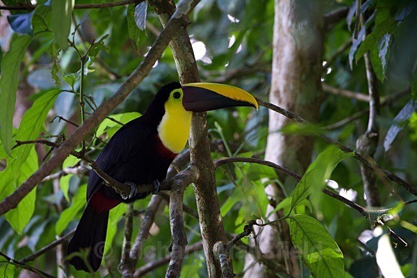  - Costa Rica