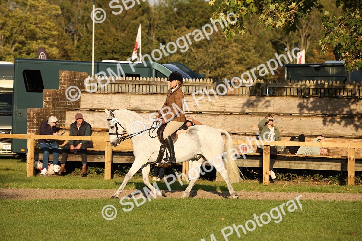 SBM_54435 - S27 - Mature Veteran - Ridden