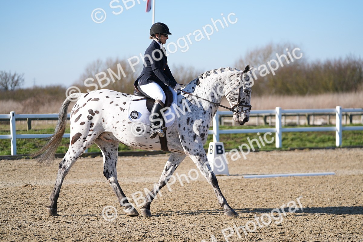 SBM_004240 - Class 3 - P2-80cm - E1