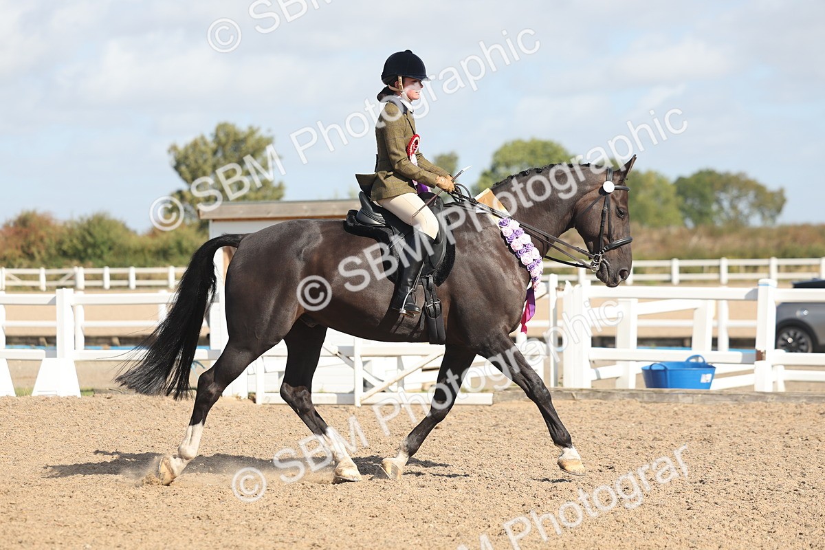 SBM_22702 - Class 805 - Ridden Veteran Horse