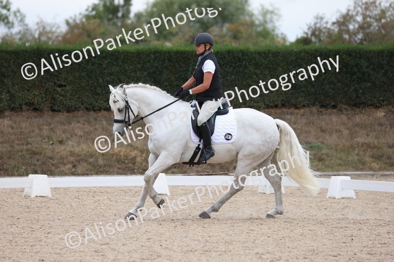 20250820-0999 - Class 16 - Novice 5