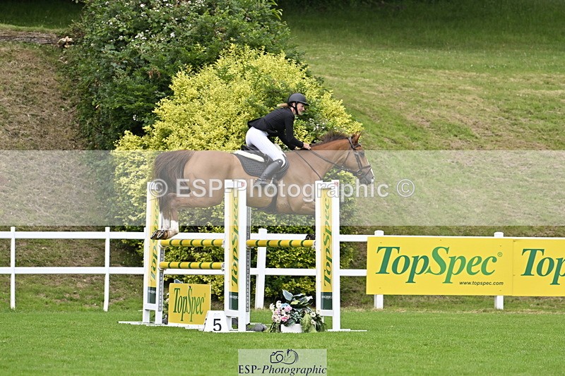 250613A-133247-02251 - Cls 3 Snr Foxhunter