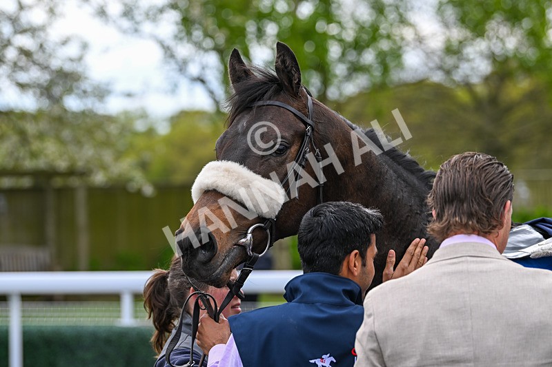 240425-Race 1-Tropical Dreamer-0968 - Race 1