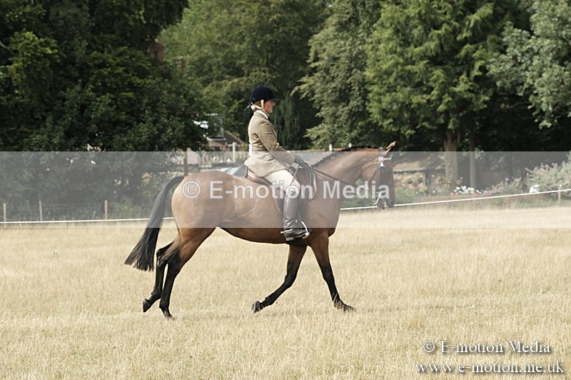 _PJP6091 - BVRC Show 2018 Ring 1