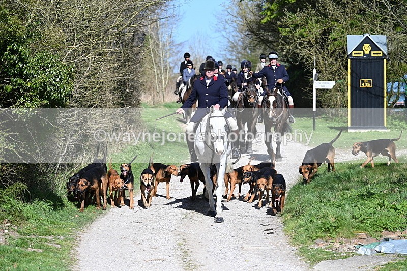 WJ7_9641 - Home for hunt tea !