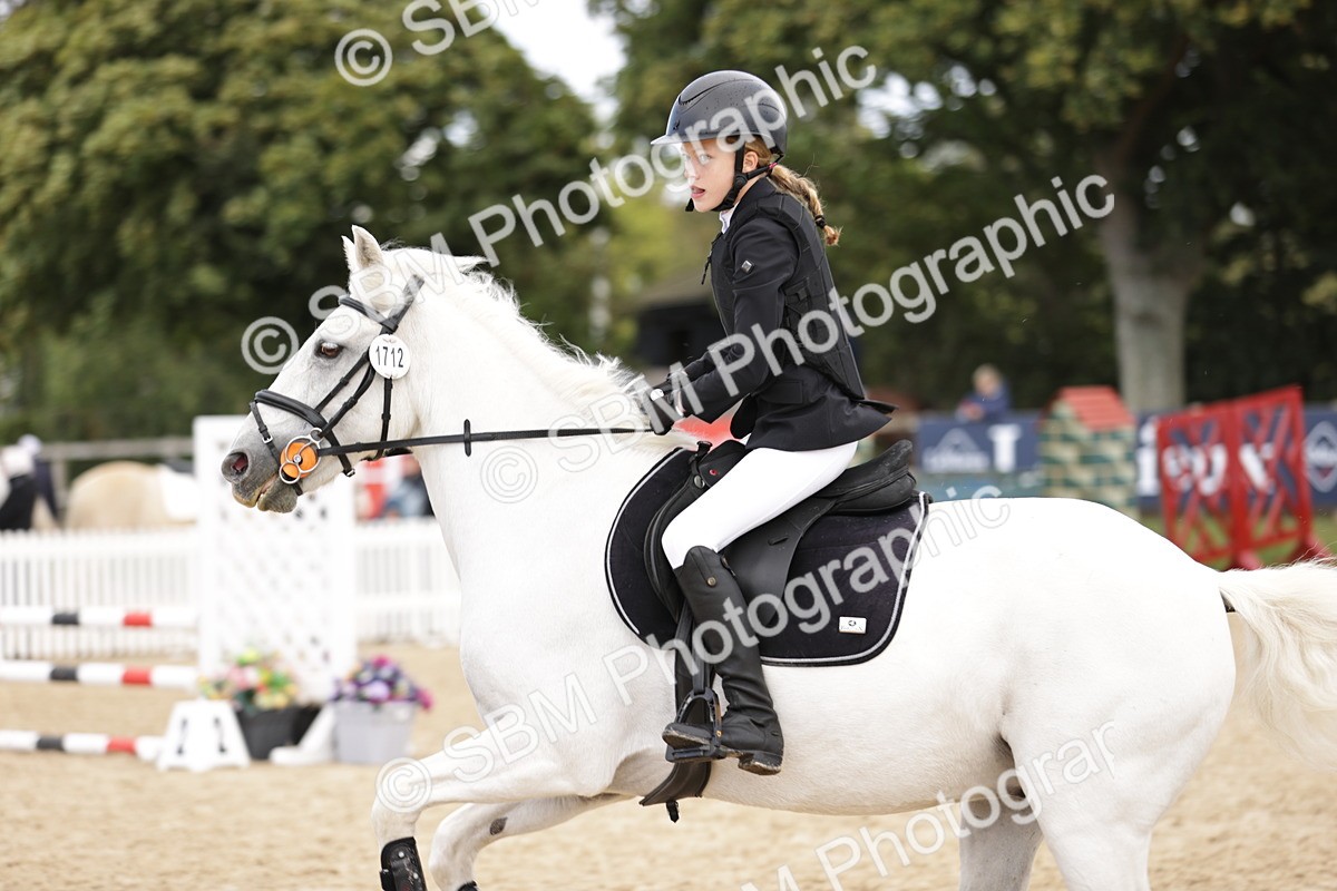 SBM_22351 - J59 - Clear Round 75cm