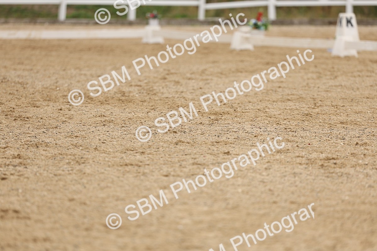 SBM_01598 - Class 9 - Novice 27 Champs