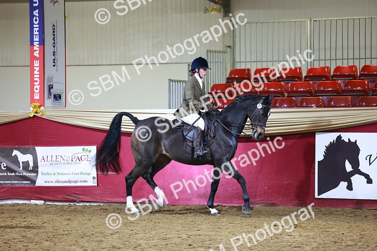 SBM_15677 - Class T - Working Veteran Champ