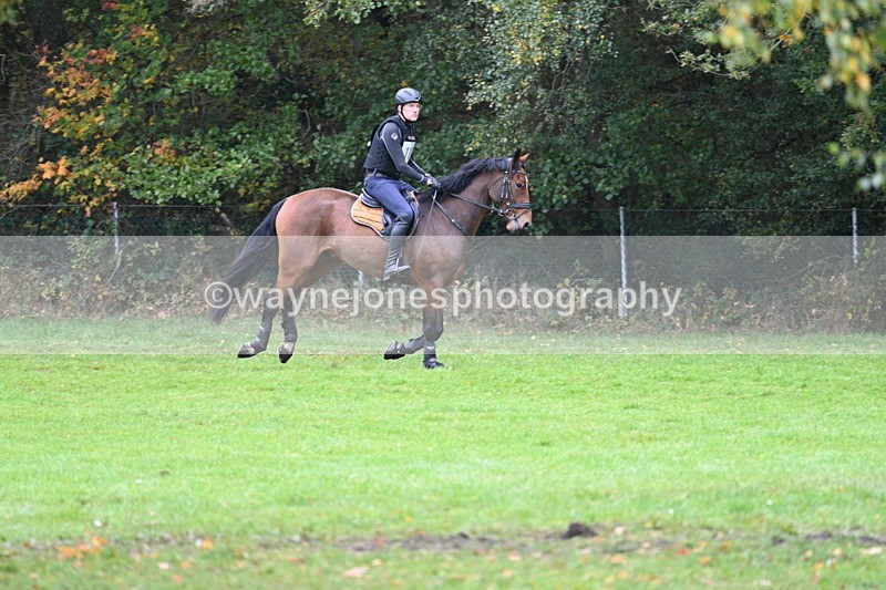 WJ7_3952 - Time 11:37 to 11:48