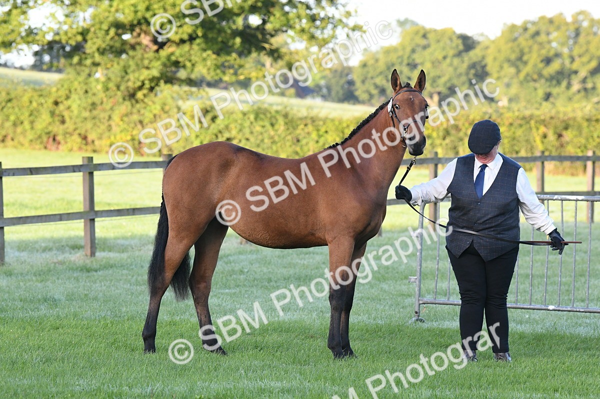 SBM_32565 - S15 - Condition & Turnout In Hand