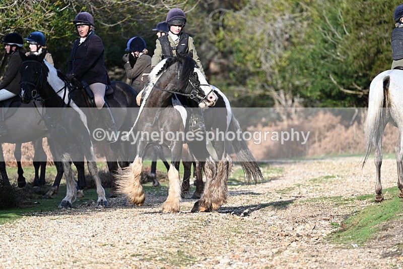 WJ7_8017 - Line 3 (no line 4 or 5)