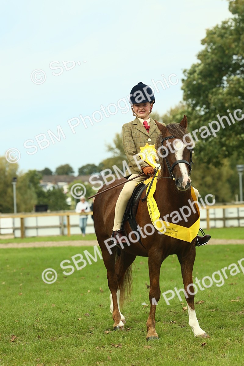 SBM_70022 - S59 - Mountain & Moorland Ridden Small Breeds