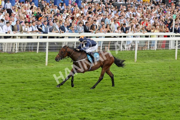 290723-Race 4-Blue Prince-3940 - Race 4 4.00pm 50K ITV7 Weekly Jackpot Nursery Handicap