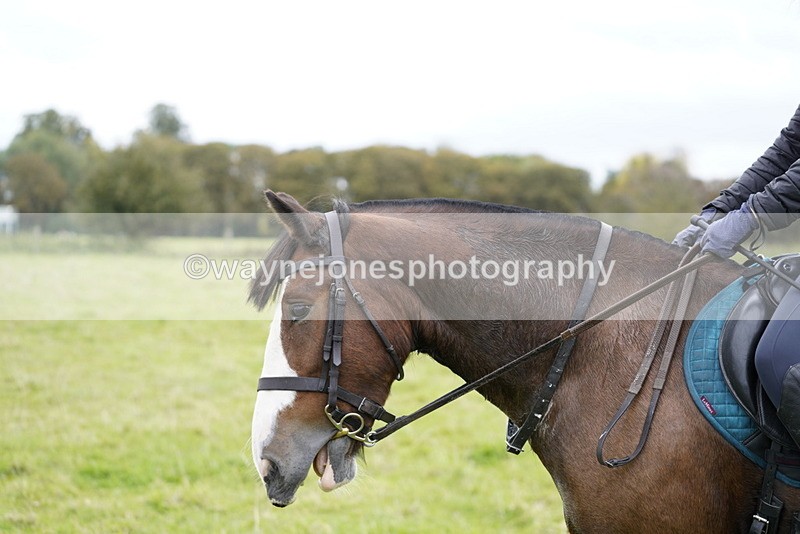 _DSC8449 - Time at Photographer 12:37 to 13:12