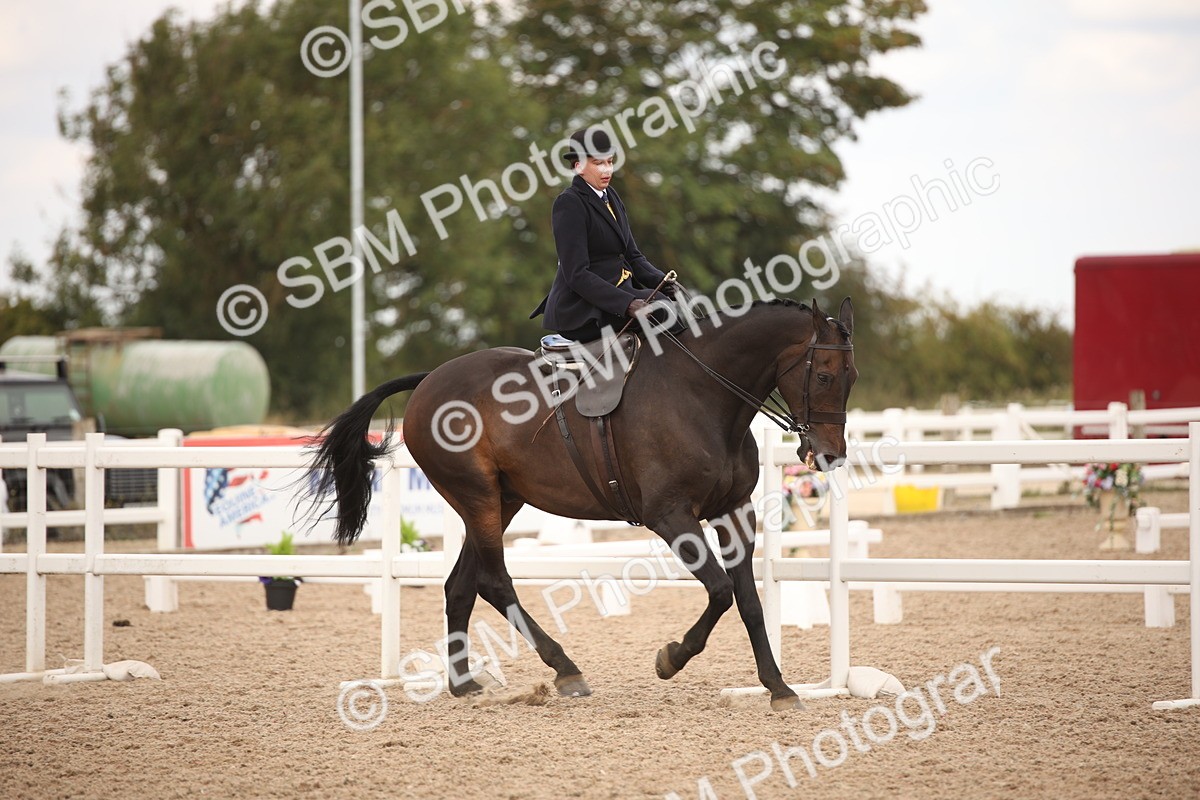 SBM_05343 - Class 22 SSA Equitation
