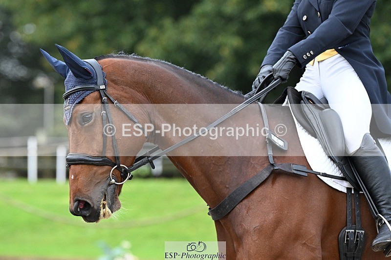 231019-113639-01857 - 040-DODINGTON-Sophie.Wildern-DR