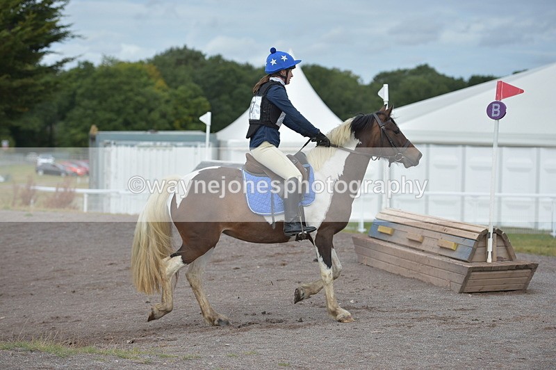 NGP_1361 - XC Time 10:38 to 10:51