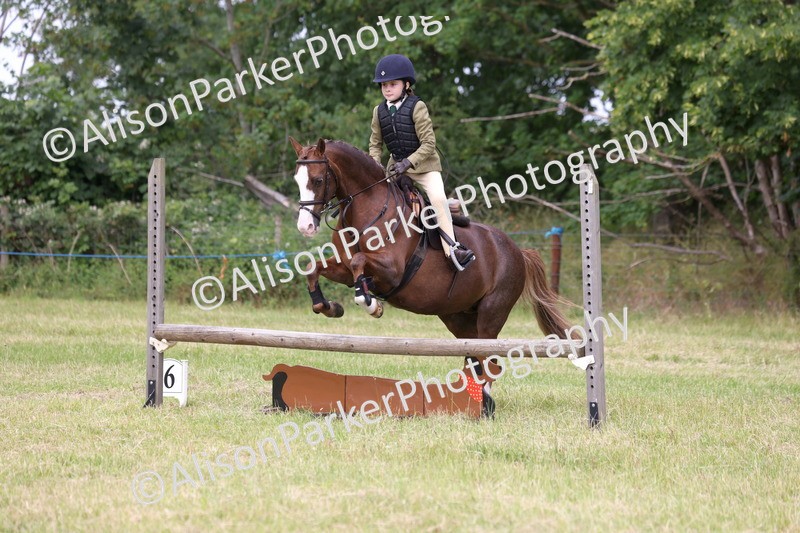 20260614-3004 - Class 22 - Open Working Hunter