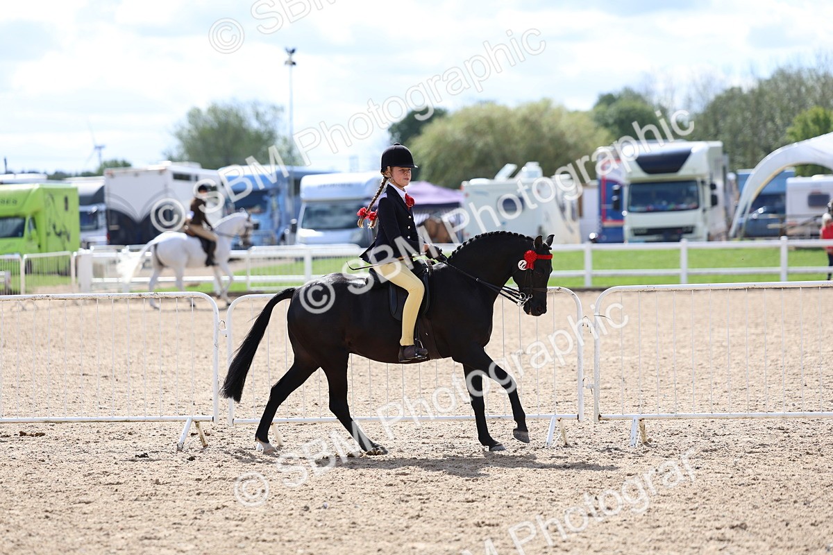 SBM_13272 - Class 311 - Ridden Show Pony Show Hunter Pony