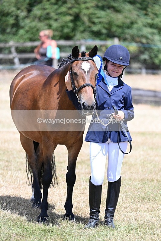 WJ7_2254 - Class 5 Most Handsome Gelding (up to 14.2hh) in hand