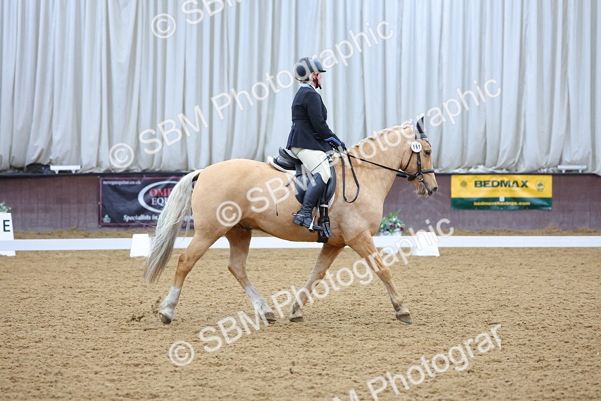 SBM_000875 - Novice