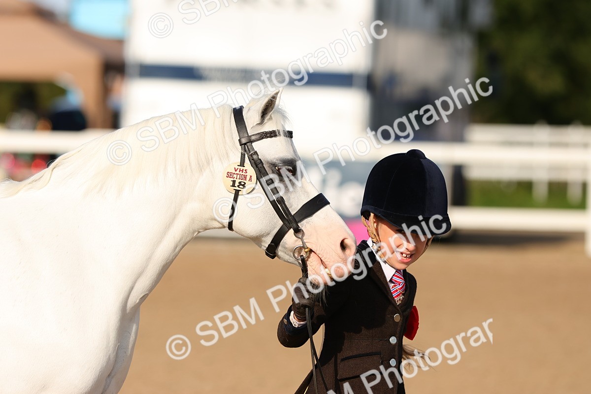 SBM_08634 - Class 203 - Young Handler 10 Years and Under