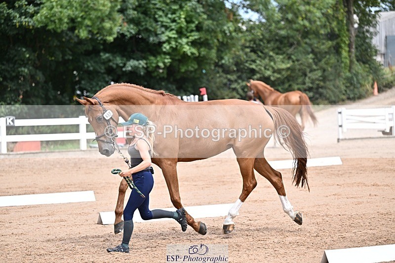 250716-130840-00362 - Trot Up 12.30 to 1.30