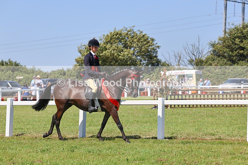 IMG_2157 - Plaited Ridden Championship