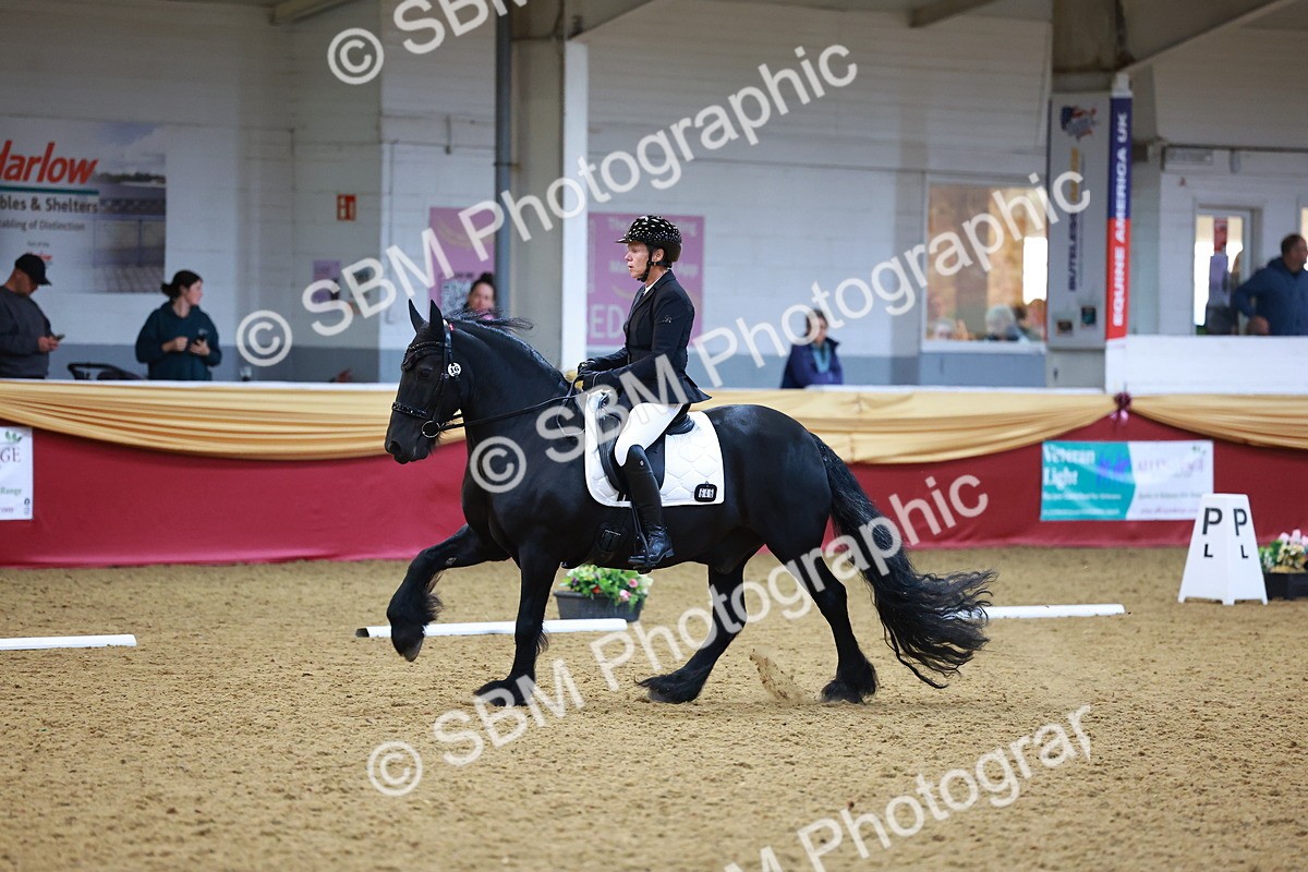 SBM_06592 - Class 61 - Dressage to Music