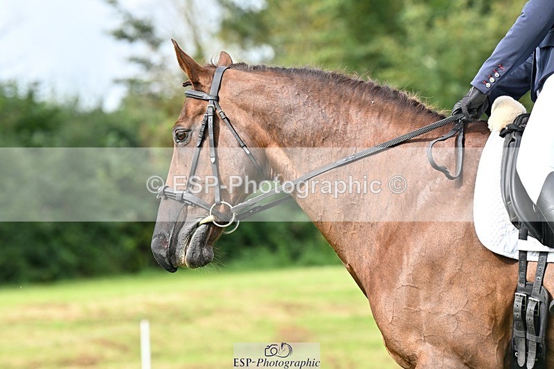 230826-100659-16381 - Sections A & B 10 to End