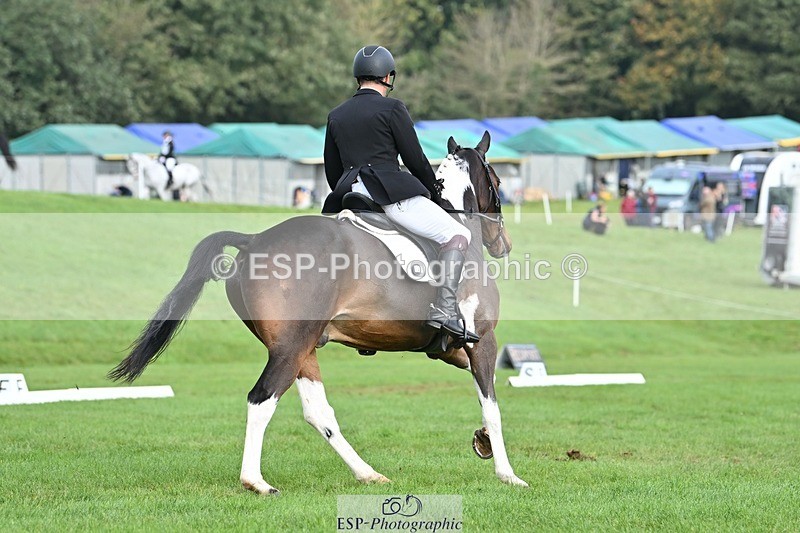 231020-104008-07677 - 640-UP.TO.MISCHIEF-Will.van.Ufford-DR