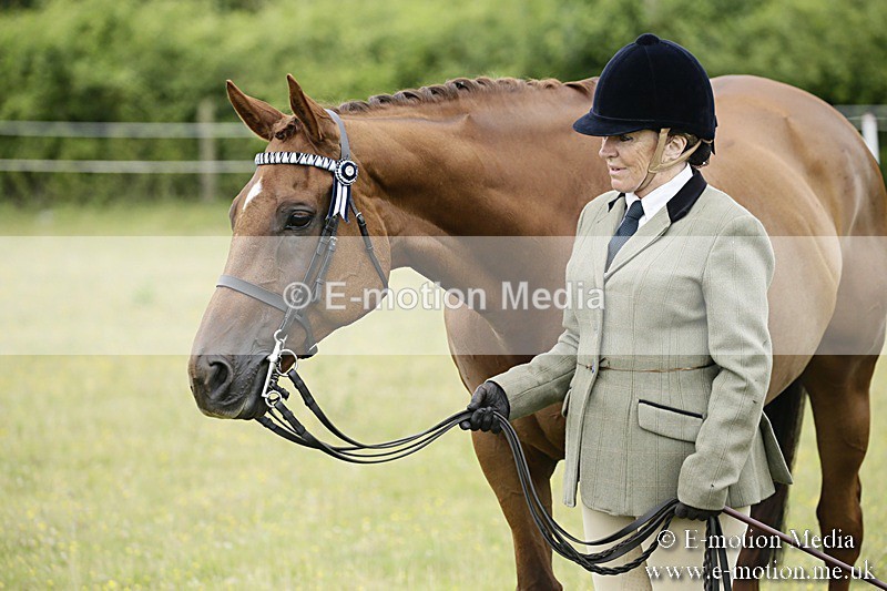 BVR160717-239 - Ring 2 BVRC Show 16/07/17