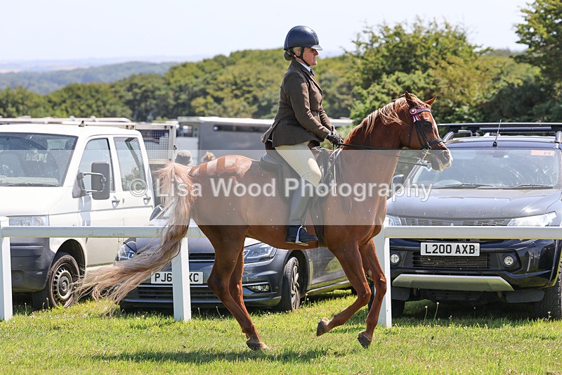 IMG_2241 - Class 37: Pure, Anglo & Part Bred Ridden Arab
