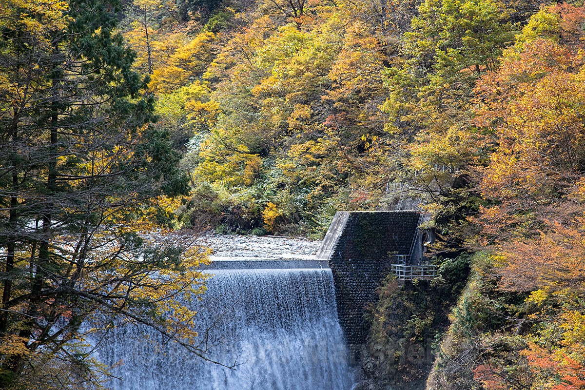  - Japan