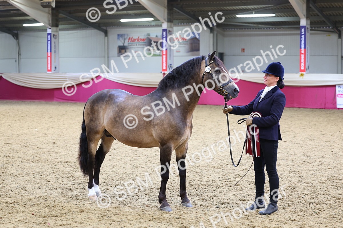 SBM_23028 - Class 903 - Supreme Final - IH Pre Vet