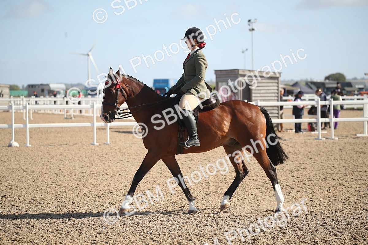 SBM_22718 - Class 601 - 2026 - Area - Ridden Diamond