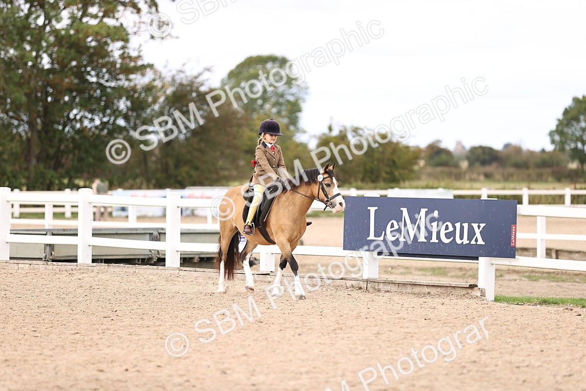 SBM_15932 - Class 416 - Prettiest Mare (IH or Ridden) Jnr