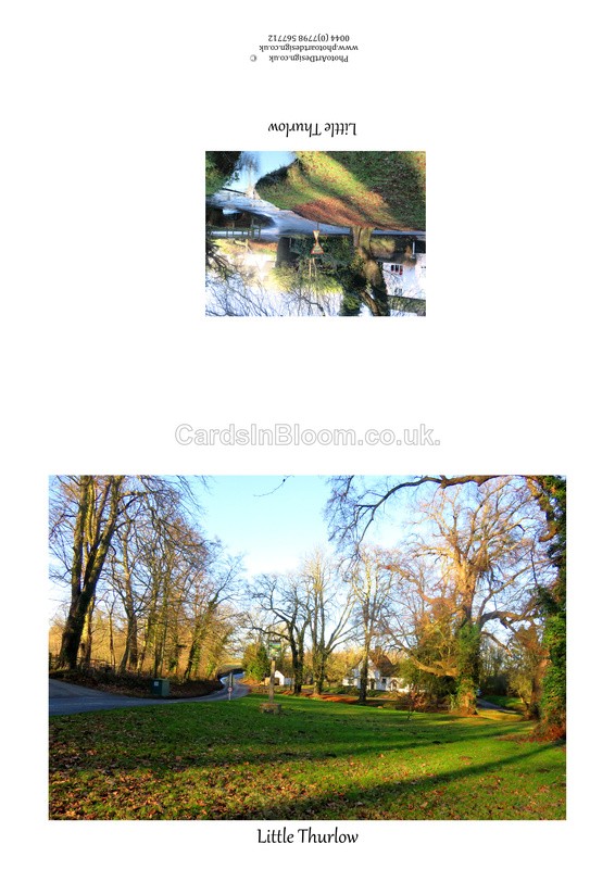 005 Little Thurlow - THURLOW CARDS