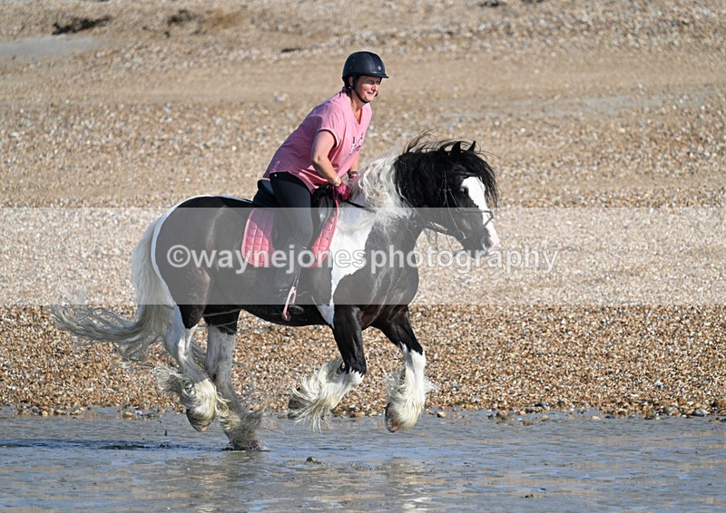 WJ7_3815 - Kellie & Churchill ... do Hayling Island 25-08-24