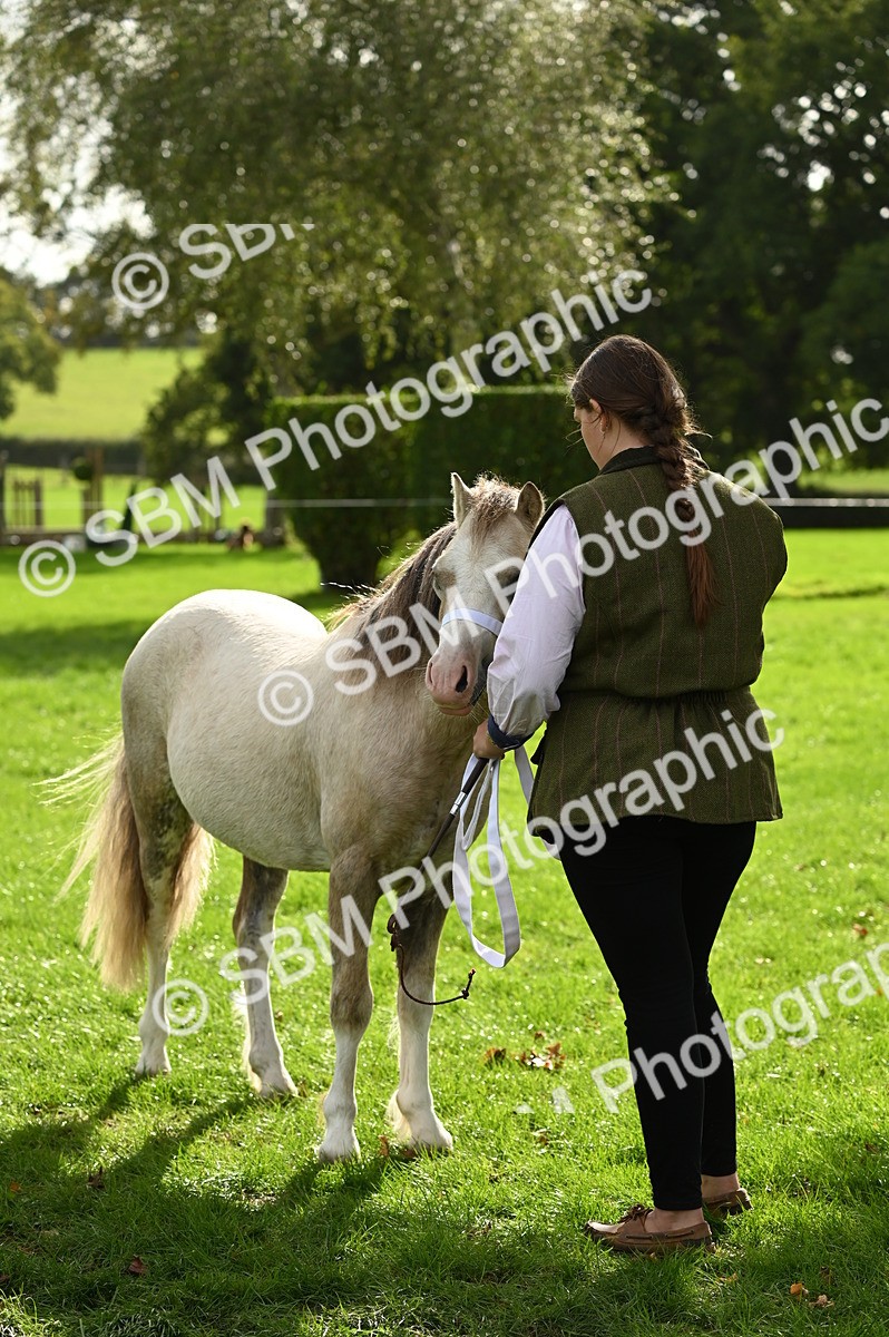 SBM_25019 - S5 - Novice & Newcomer In hand
