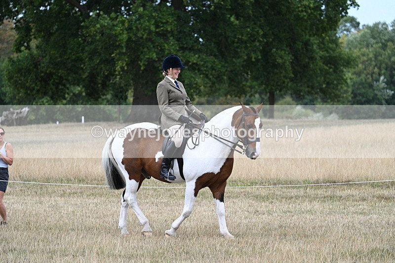 WJ7_4610 - Class 12 Ridden Cob