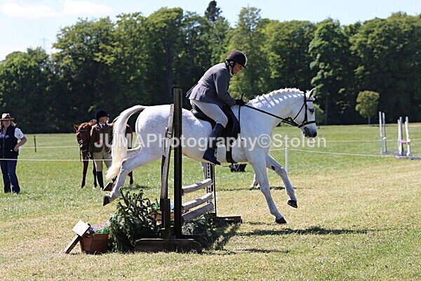 IMG_3981 - Working Hunter
