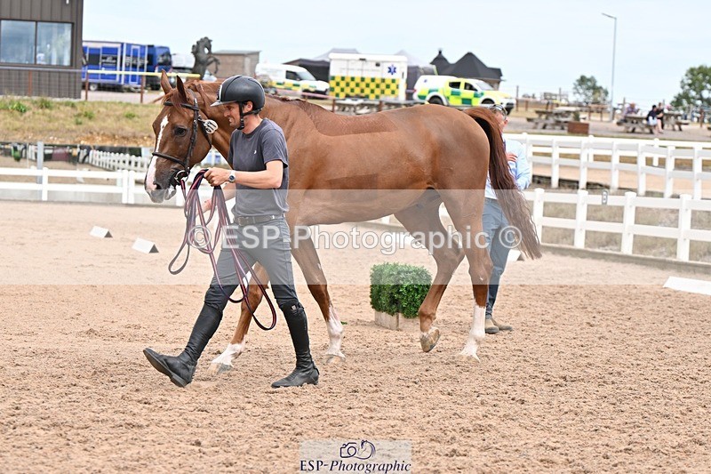 250716-162312-02611 - Trot Up 3.30 to 4.30