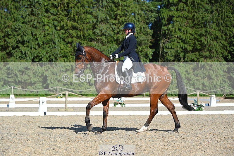 230526-173034-07623 - 264-BALLADEER_JUST_FOR_KICKS-Ellie_Healy-WEDTrotUp+DR