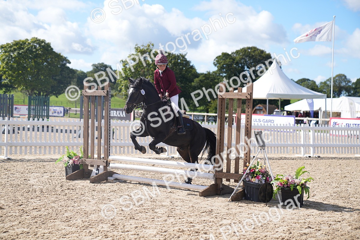 SBM_02440 - J54 Clear Round 45cm