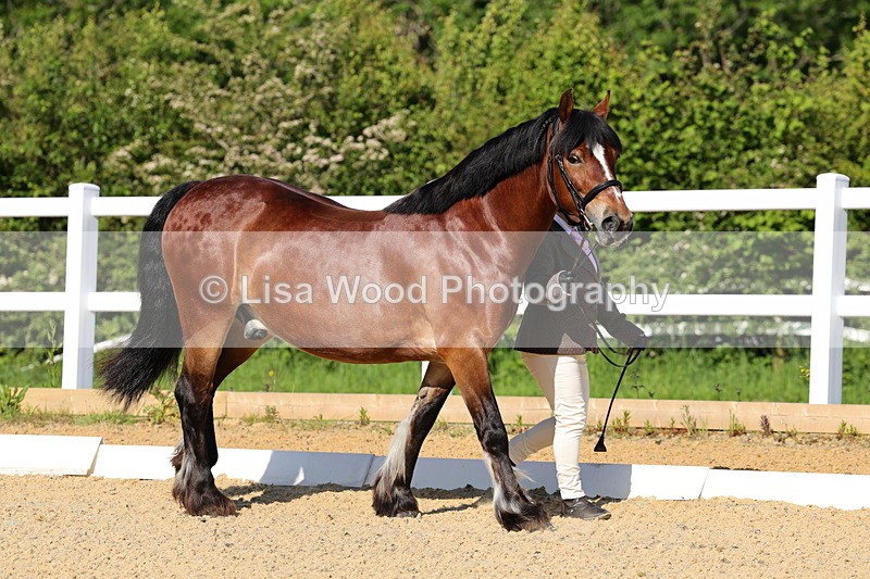 1X9A0509 - Class 2: M & M $ years and over
