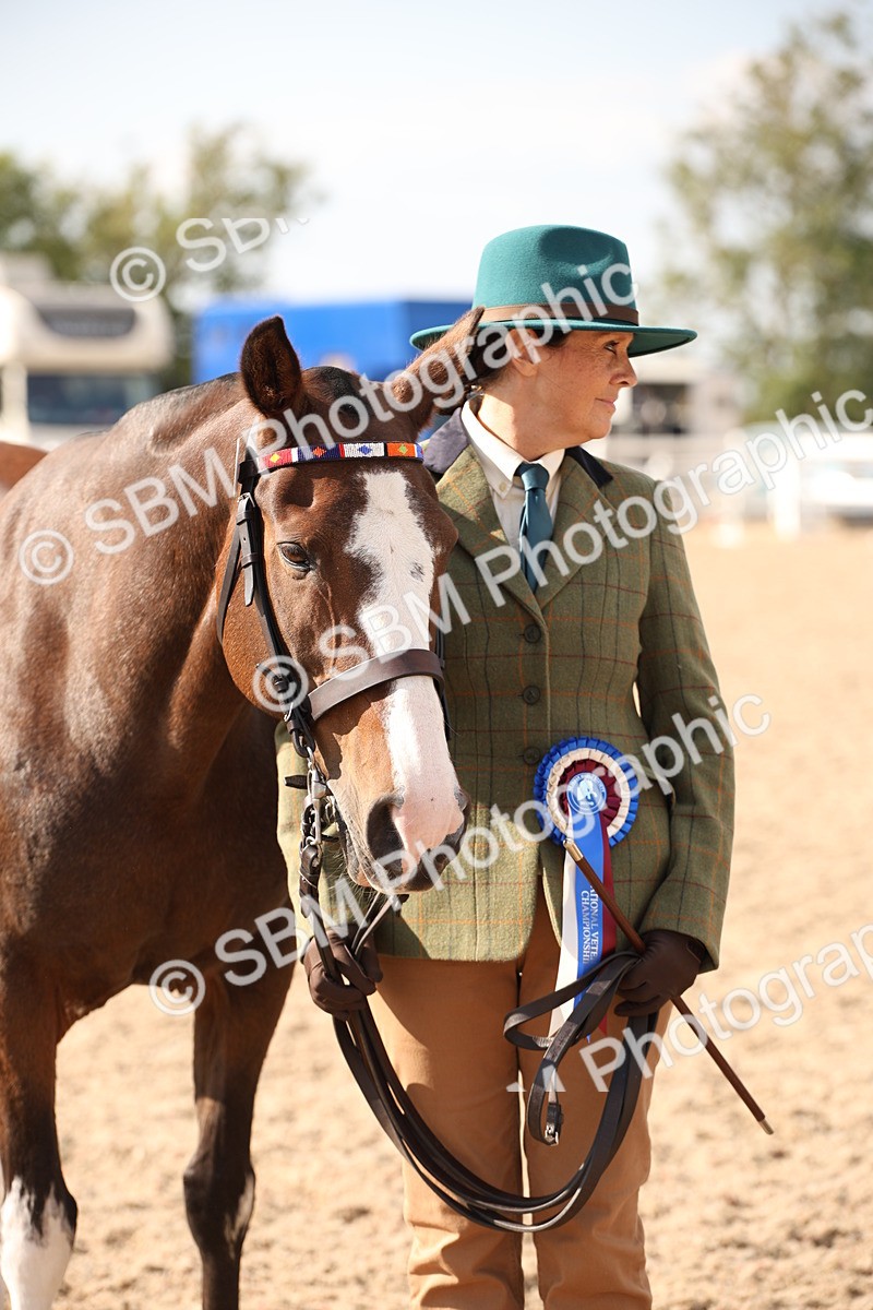 SBM_07438 - Class 26 IH Foreign Breeds -Part bred