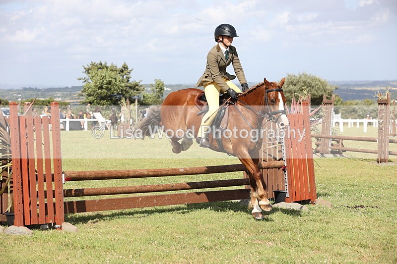 JPP_2748 - Class 20: Working Hunter 70cm