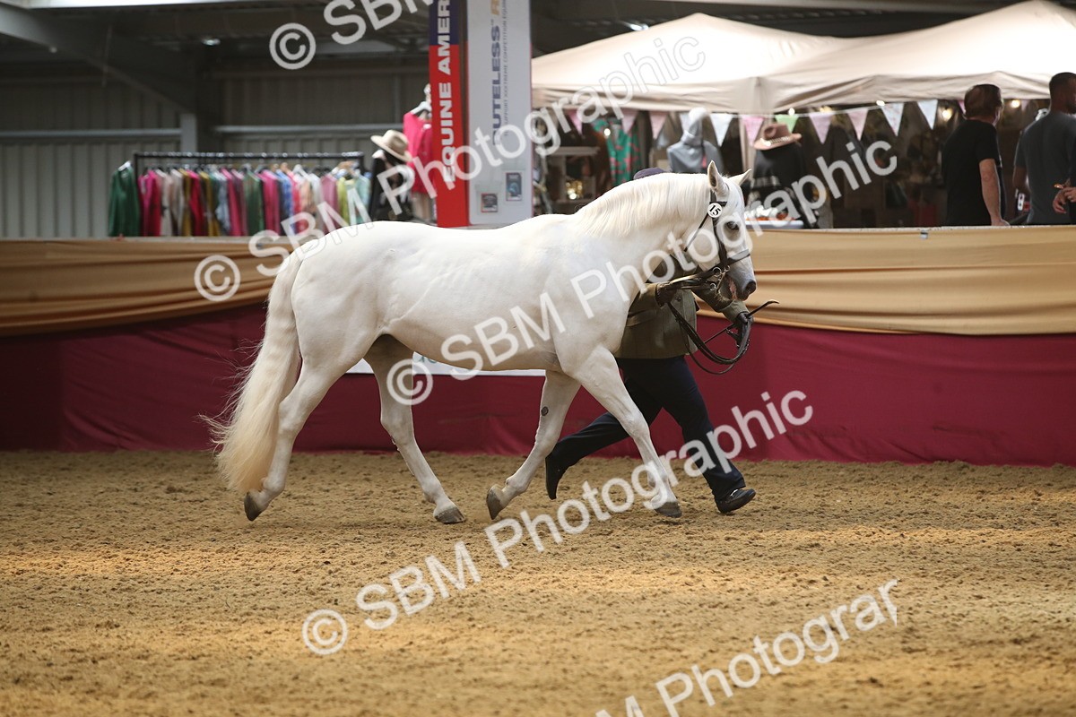 SBM_05616 - Class 9R - Regional IH Pre-Vet